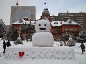 paket private tour jepang hokkaido